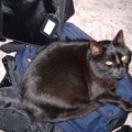 Lady using my bookbag for her bed